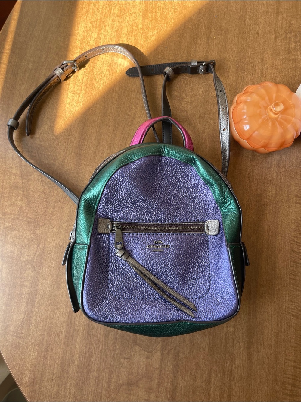 Coach Small Metallic Purple & Green Leather Backpack